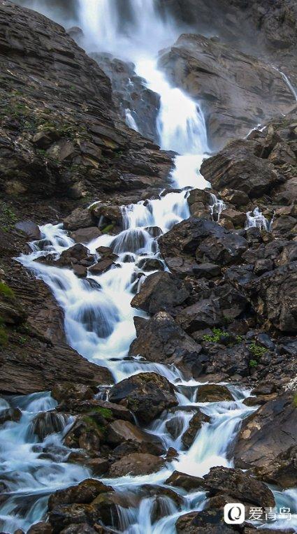 虫虫助手下载
